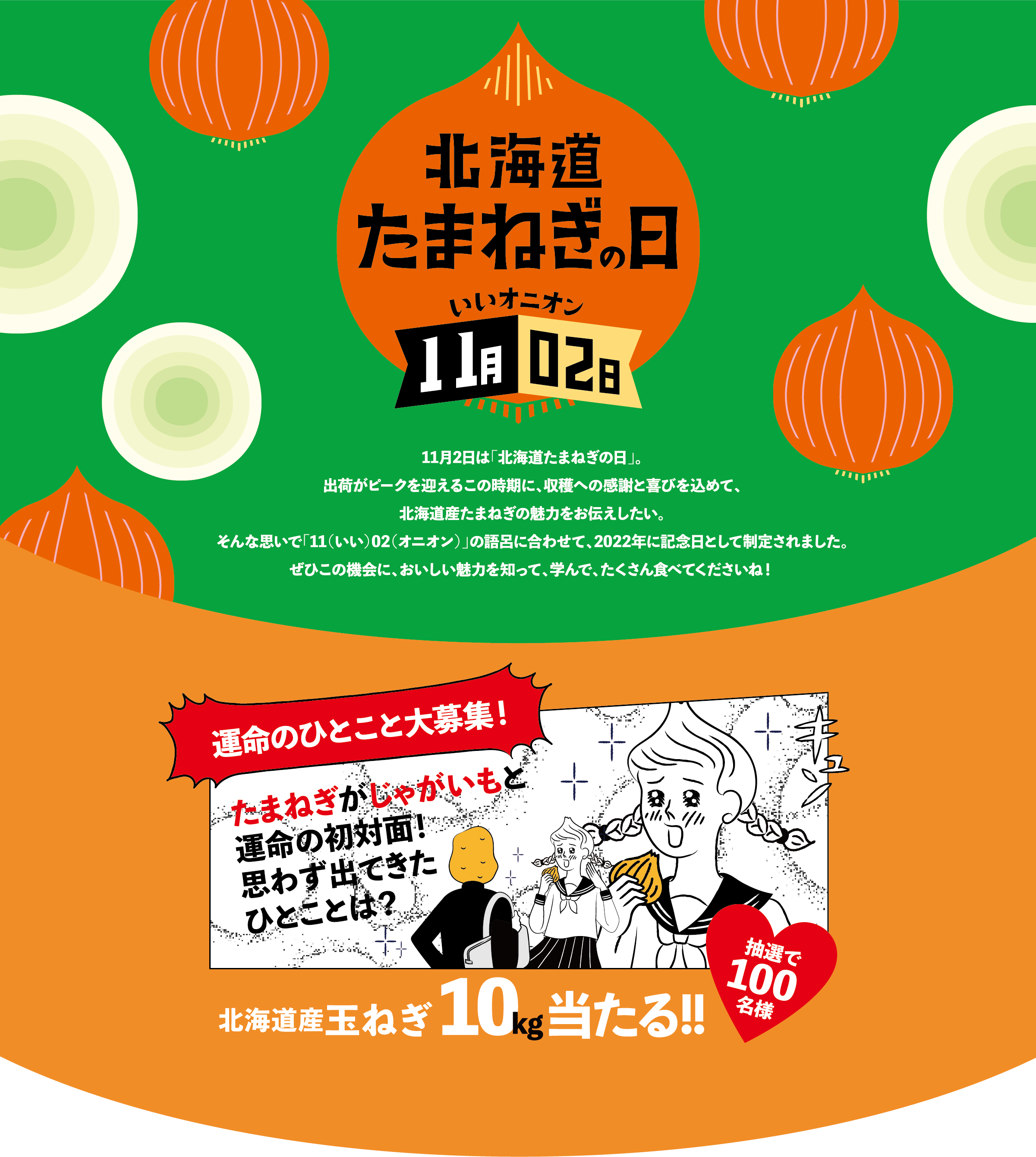 北海道たまねぎの日 11月2日